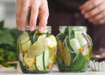 Domowe probiotyki a odporność