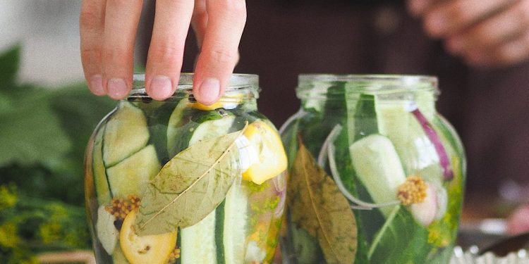 Domowe probiotyki a odporność