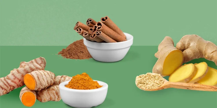 Świeży złoty korzeń kurkumy obok proszku i przypraw na drewnianym stole