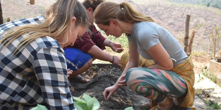 6543210a soup kitchen help 1770871787