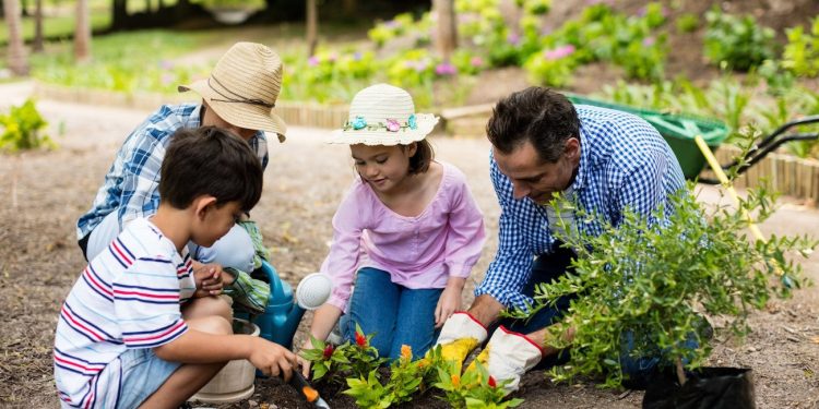 dsc 20240515 przepisy dzialkowe 1770872892