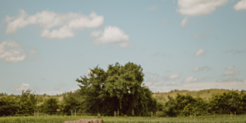 Rodzina z dziećmi stoi uśmiechnięta przed drewnianym domem na wsi z walizkami