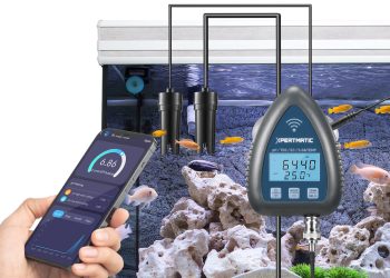 mężczyzna trzymający smartfona z ekranem pokazującym zużycie wody w domu