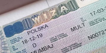 Pracodawca polski i uśmiechnięty cudzoziemiec przeglądają dokumenty przy biurkowym stole