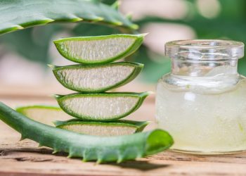 Fresh aloe leaves and aloe gel in the cosmetic jar on wooden table.