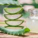 Fresh aloe leaves and aloe gel in the cosmetic jar on wooden table.