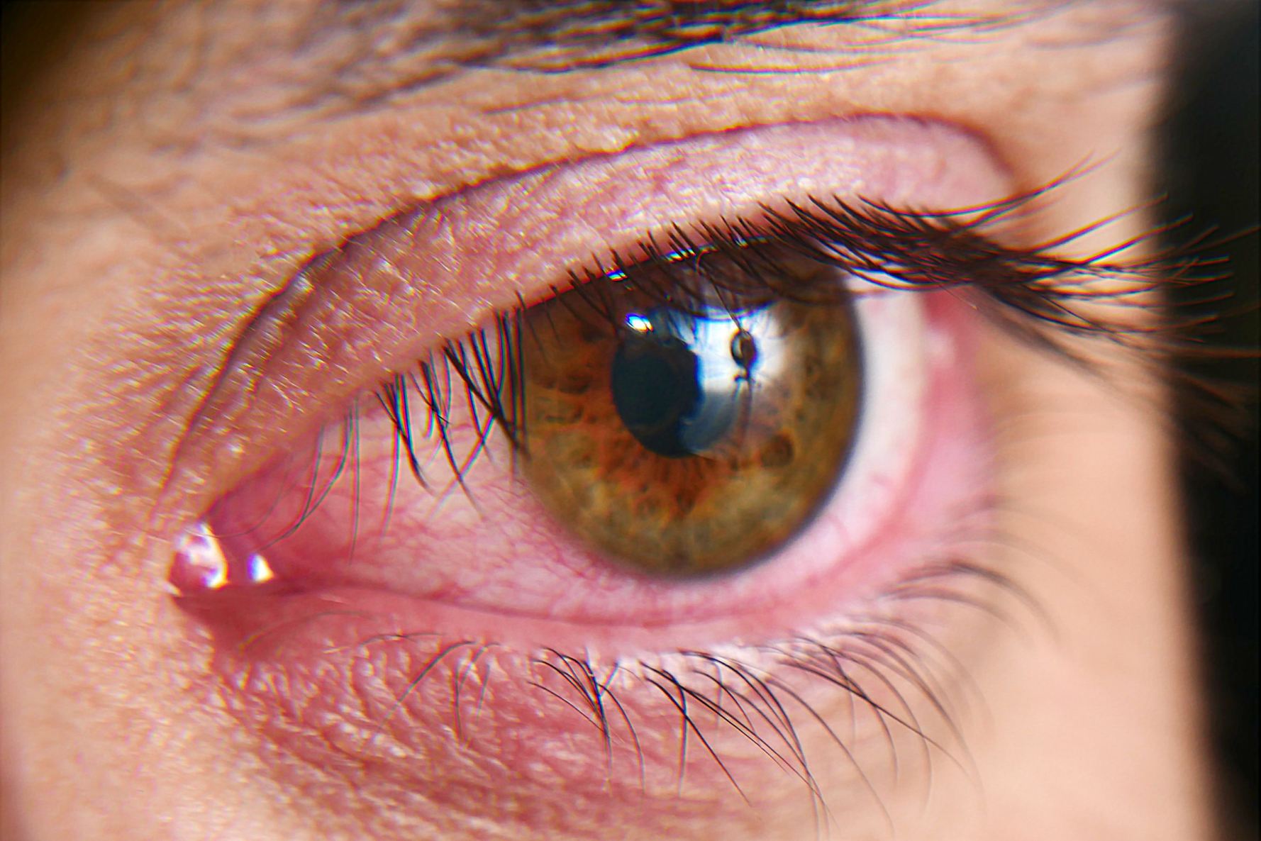 eye health tips for daily life